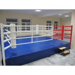 Боксерский ринг Fighttech на помосте Е10586
