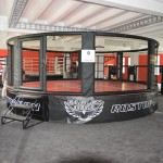Арена MMA Fighttech турнирная на помосте OC-6